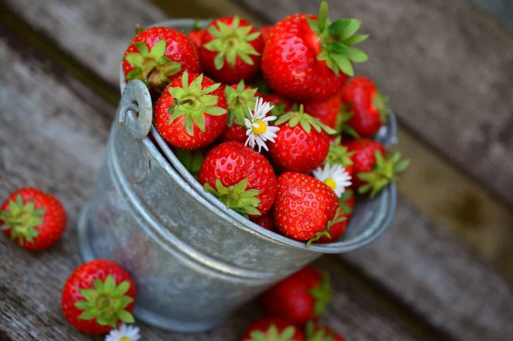 Scopri come gustare le fragole anche con la glicemia alta: ricette sorprendenti!