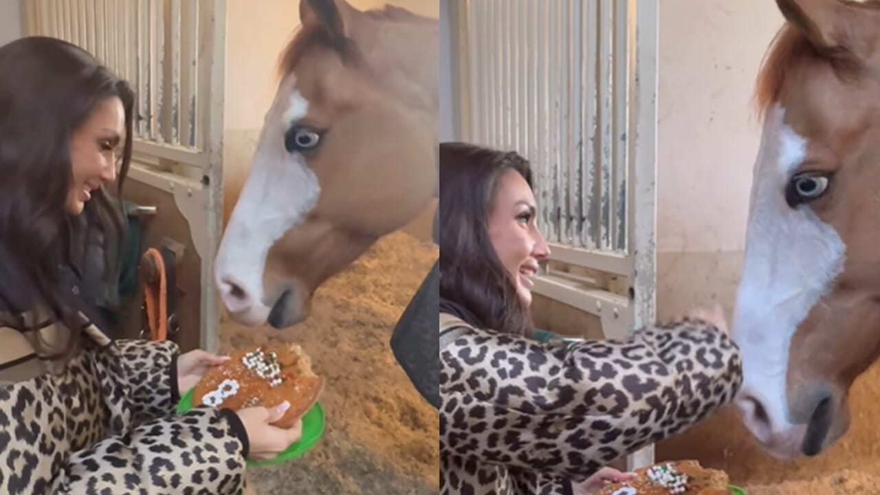 Elettra Lamborghini celebra il compleanno del suo amato cavallo Dadi con una dolce sorpresa