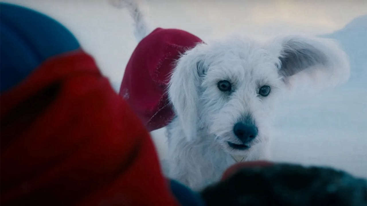 Superman: i fan potranno scoprire alcune scene in anteprima durante il Puppy Bowl.