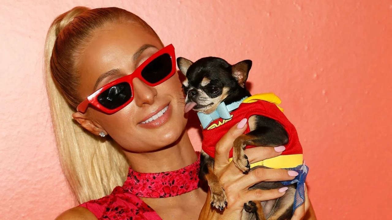 Paris Hilton si impegna come volontaria in un rifugio per animali durante gli incendi a Los Angeles.