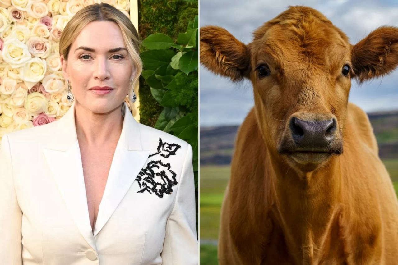 Kate Winslet ha una paura più grande degli iceberg, le mucche.